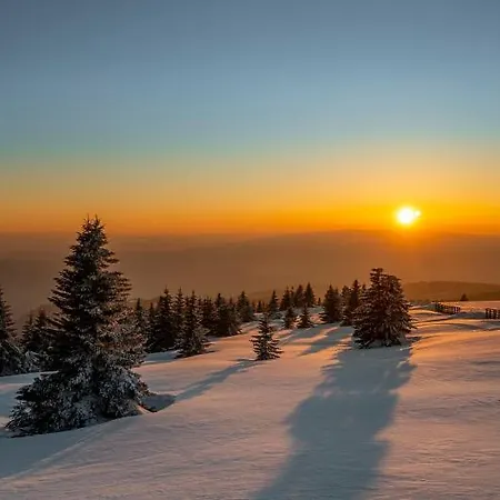 Апартаменты Snow Peak Wellness & Spa, Milmari N5 Копаоник