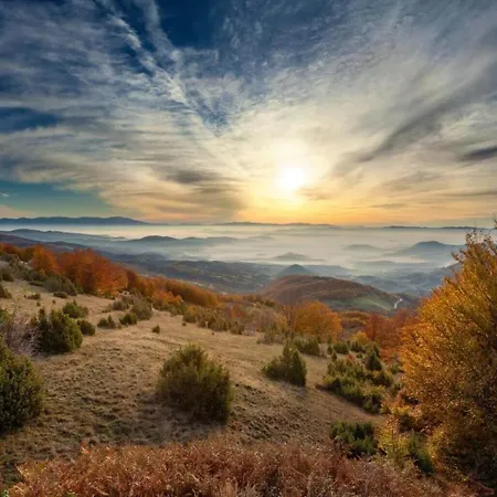 Snow Peak Wellness & Spa, Milmari N5 * Копаоник