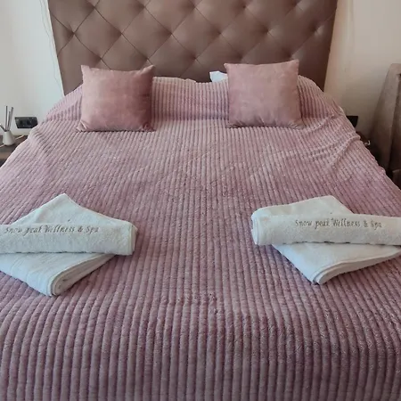 Snow Peak Wellness & Spa, Milmari N5 Апартаменты Копаоник