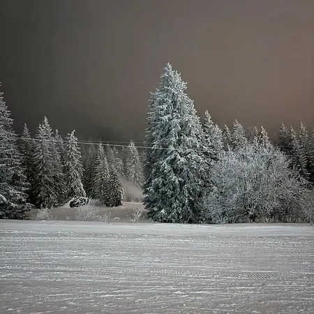 Апартаменты Snow Peak Wellness & Spa, Milmari N5