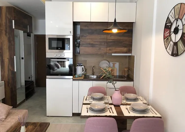 Lejlighed Snow Peak Wellness & Spa, Milmari N5 Kopaonik