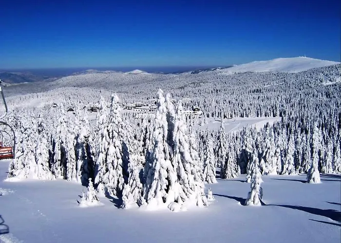 Snow Peak Wellness & Spa, Milmari N5 Lejlighed *