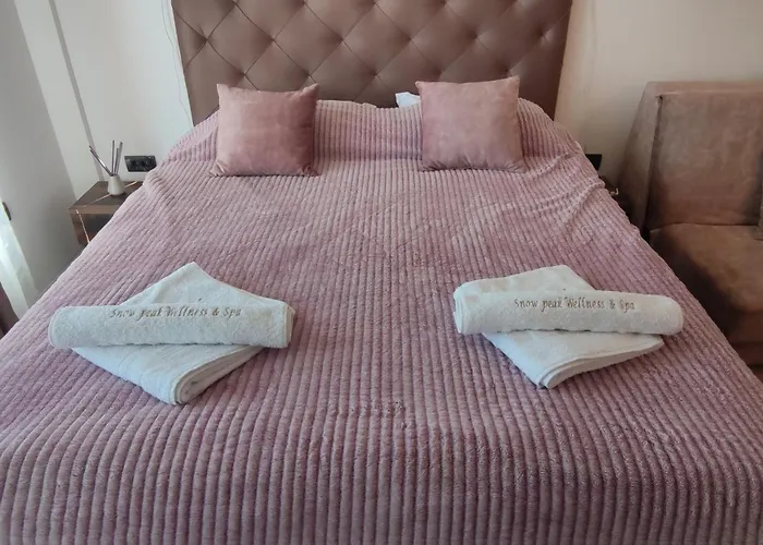 Snow Peak Wellness & Spa, Milmari N5 Lejlighed Kopaonik