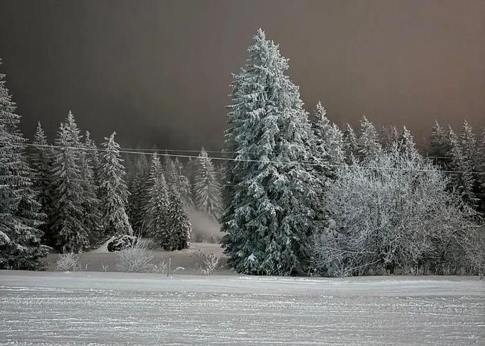 Lejlighed Snow Peak Wellness & Spa, Milmari N5